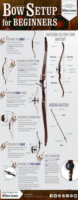 Bow Setup For Beginners