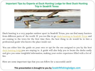 Important Tips by Experts at Duck Hunting Lodge for Best Duck Hunting Trip in Seadrift Texas