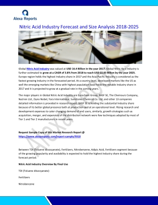 Nitric Acid Industry Forecast and Size Analysis 2018-2025