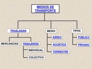 MEDIOS DE TRANSPORTE