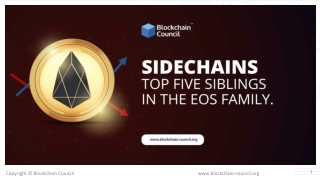 SideChains: Top Five Siblings in The EOS Family