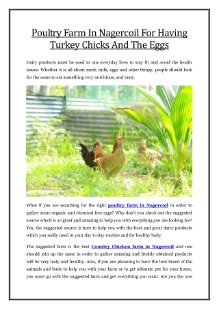 Poultry Farm In Nagercoil For Having Turkey Chicks And The Eggs