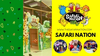 Safari Nation Offers Jubgle Gym, Toddler Playground | SAFARI Nation