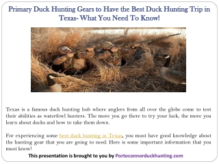 Primary Duck Hunting Gears to Have the Best Duck Hunting Trip in Texas- What You Need To Know!