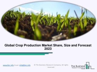 Global Crop Production Market Analysis Report 2020