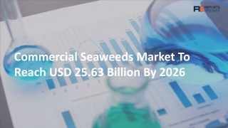 Commercial Seaweeds Market Share Demand 2019-2026