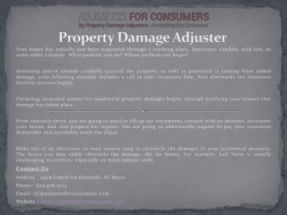 Hail Damage Claims Adjuster