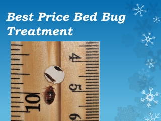 Cost of the best bed bug treatment