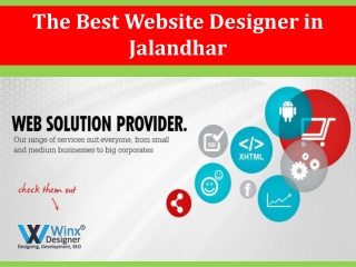 Best Website Designer in Jalandhar | Web Design | 9877575088