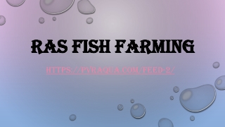 RAS Fish Farming