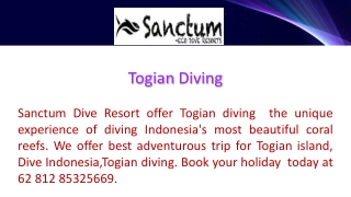 Togian Diving