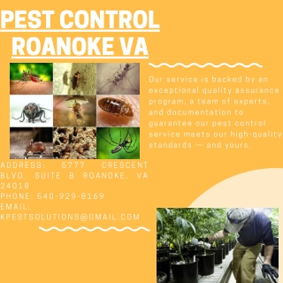 Pest Control Roanoke VA | Killinger Pest Solutions