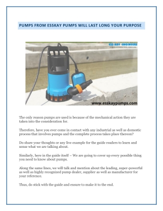 Pumps from EssKay Pumps Will Last Long Your Purpose