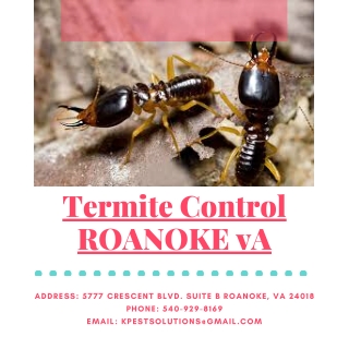 Termite Control Roanoke VA | Killinger Pest Solutions