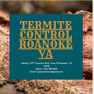 Termite Control Roanoke VA | Killinger Pest Solutions