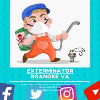 Exterminator Roanoke VA | Killinger Pest Solutions