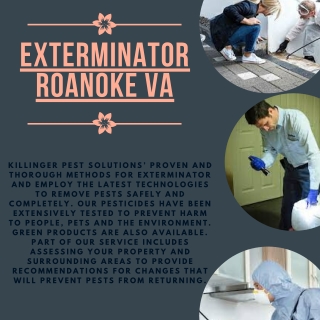 Exterminator Roanoke VA | Killinger Pest Solutions