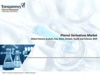 Phenol Derivatives Market: Pin-Point Analysis for Changing Competitive Dynamics