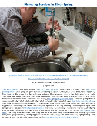 Plumbing Services in Silver Spring