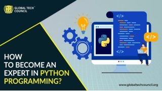 How to Become An Expert In Python Programming?