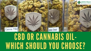 CBD or Cannabis Oil- Which Should you Choose?