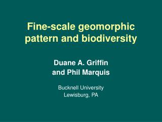 Fine-scale geomorphic pattern and biodiversity