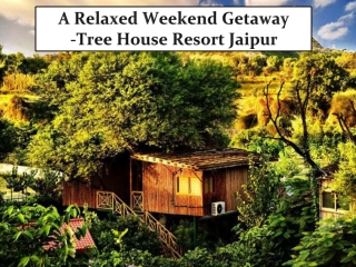Tree House Resort Jaipur
