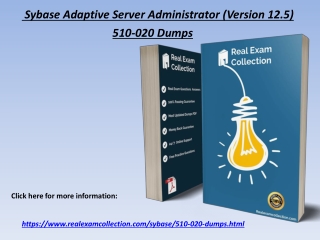 2020 Sybase 510-020 Exam Questions - 510-020 Exam Dumps
