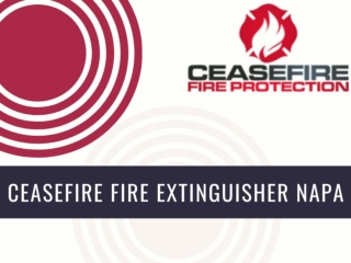 Ceasefire fire extinguisher napa