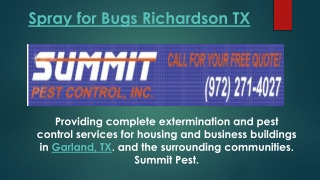 Spray for Bugs Richardson TX