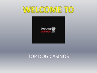 Find Best Online Casino UK