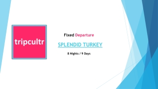 SPLENDID TURKEY