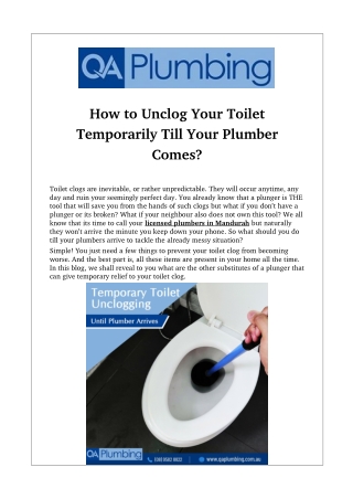 How to Unclog Your Toilet Temporarily Till Your Plumber Comes?