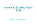 Advanced Bedding Plants 2007