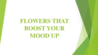 FLOWERS THAT BOOST YOUR MOOD UP