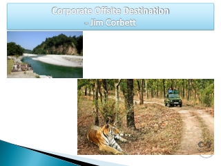 Corporate Team Outing in Jim Corbett - Corporate Events