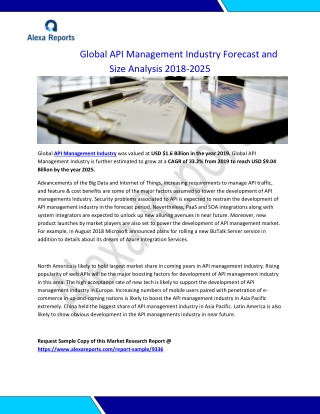 Global API Management Industry Forecast and Size Analysis 2018-2025