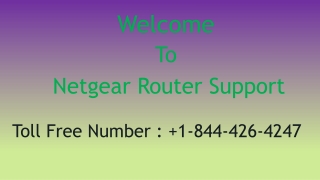 Netgear router support