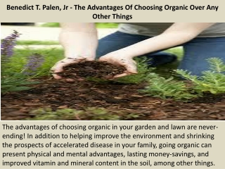 Benedict T. Palen, Jr - The Advantages Of Choosing Organic Over Any Other Things