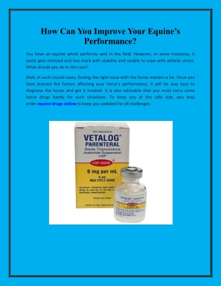 How Can You Improve Your Equine’s Performance?