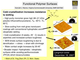 Functional Polymer Surfaces
