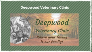 Deepwood Veterinary Clinic | Centreville Veterinarian