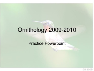 Ornithology 2009-2010