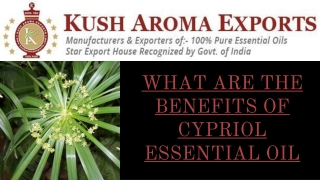 What are the Benefits of Cypriol Essential Oil