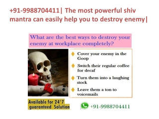 91-9988704411| The most powerful shiv mantra can easily help you to destroy enemy|