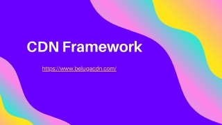 What’s a CDN Framework made of?