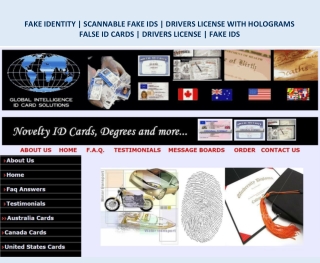 FAKE IDENTITY
