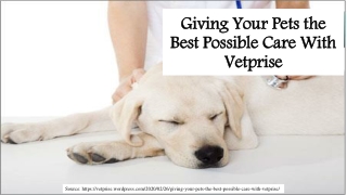 Giving Your Pets the Best Possible Care With Vetprise