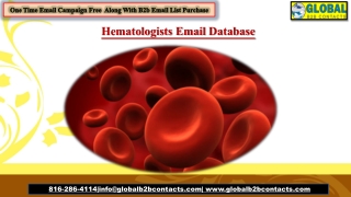 Hematologists Email Database