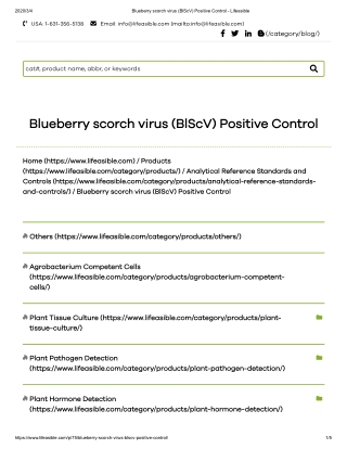 blueberry scorch virus